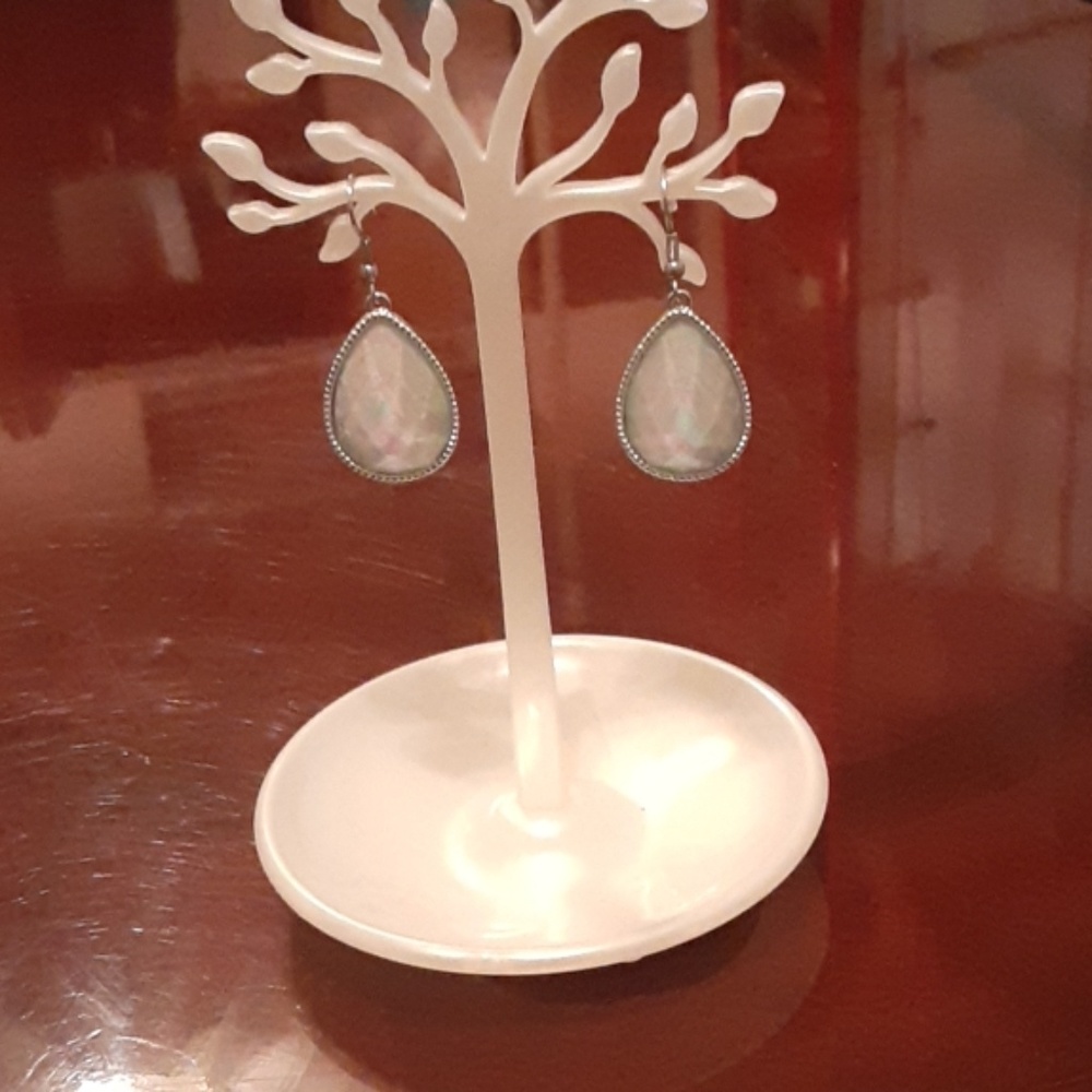 NWT- Pick Blue Stone Earrings